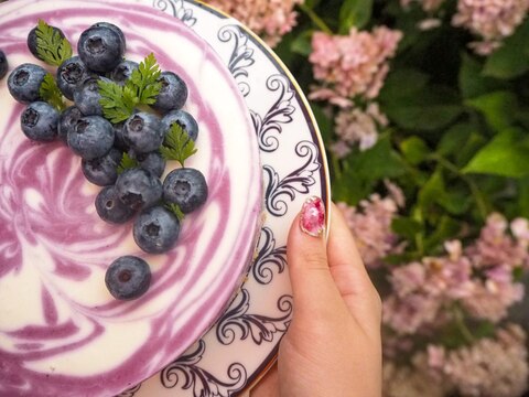 ブルーベリーレアチーズケーキ